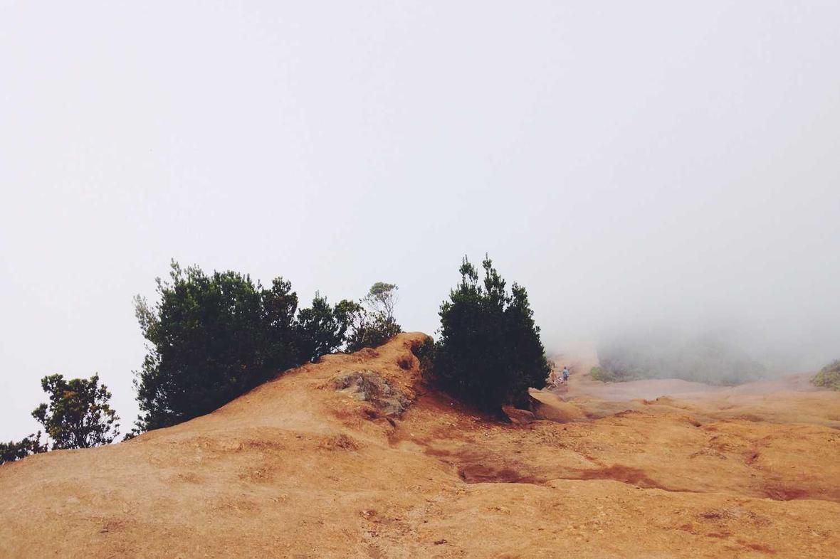 Cupiditate ut nobis reiciendis neque dolores occaecati fugit ratione non assumenda voluptatem