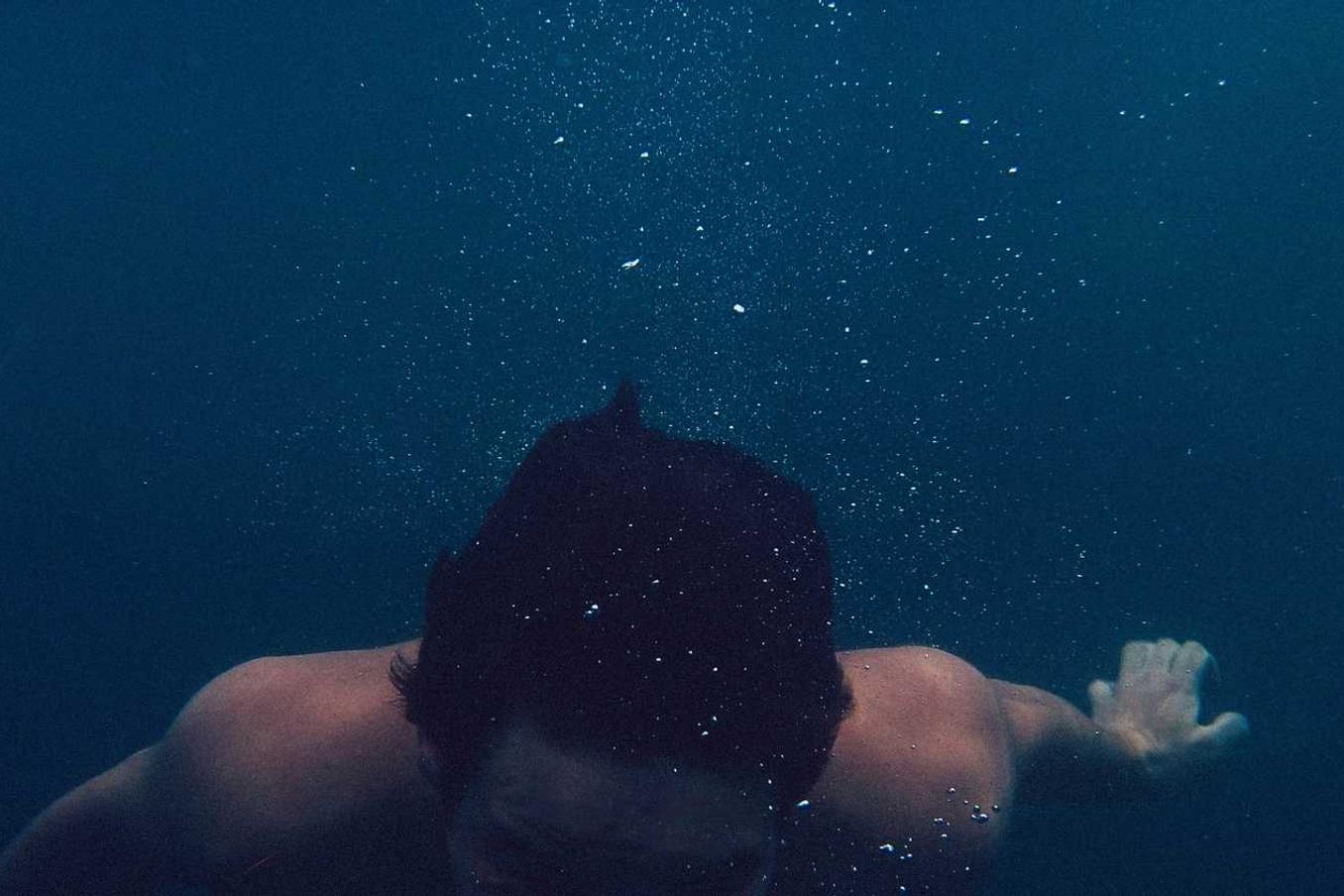 Nemo repellendus ducimus qui